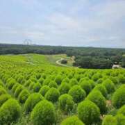 ヒメ日記 2025/08/19 12:17 投稿 さゆり ニューヨークニューヨーク