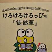 ヒメ日記 2025/09/09 11:40 投稿 さゆり ニューヨークニューヨーク