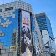 ヒメ日記 2025/10/08 08:41 投稿 さゆり ニューヨークニューヨーク