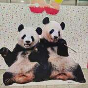 ヒメ日記 2025/10/11 09:55 投稿 さゆり ニューヨークニューヨーク