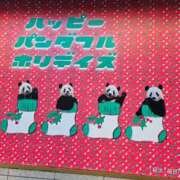 ヒメ日記 2025/11/26 10:42 投稿 さゆり ニューヨークニューヨーク