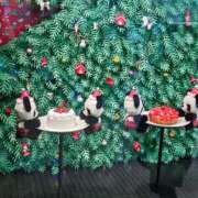 ヒメ日記 2025/11/29 10:36 投稿 さゆり ニューヨークニューヨーク