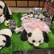 さゆり おはようございます ニューヨークニューヨーク