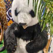 ヒメ日記 2025/12/16 12:23 投稿 さゆり ニューヨークニューヨーク