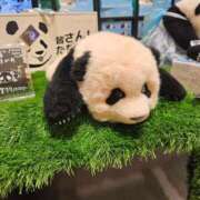 ヒメ日記 2025/12/20 11:27 投稿 さゆり ニューヨークニューヨーク