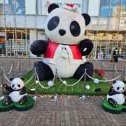 ヒメ日記 2025/12/23 22:09 投稿 さゆり ニューヨークニューヨーク