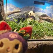 ヒメ日記 2026/01/06 08:09 投稿 さゆり ニューヨークニューヨーク