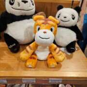 さゆり おはようございます ニューヨークニューヨーク