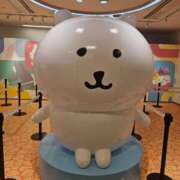 ヒメ日記 2026/01/17 20:28 投稿 さゆり ニューヨークニューヨーク