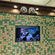 ヒメ日記 2026/01/27 20:36 投稿 さゆり ニューヨークニューヨーク