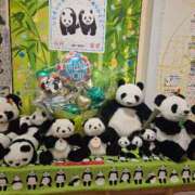 ヒメ日記 2026/02/14 19:30 投稿 さゆり ニューヨークニューヨーク