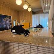 ヒメ日記 2026/08/19 11:13 投稿 さゆり ニューヨークニューヨーク