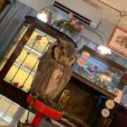 ヒメ日記 2025/06/28 14:42 投稿 りりか 学園祭