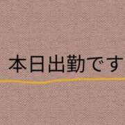 ヒメ日記 2025/01/28 10:05 投稿 らん 宮崎ちゃんこ都城店