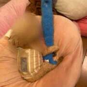 ヒメ日記 2025/02/21 20:51 投稿 るみな MIKADO