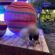 ヒメ日記 2025/07/10 16:41 投稿 るみな MIKADO