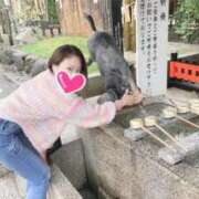 ヒメ日記 2026/01/29 16:01 投稿 るみな MIKADO