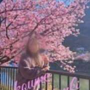 ヒメ日記 2026/02/20 21:36 投稿 暁小梅 五十路マダムエクスプレス船橋店(カサブランカグループ)