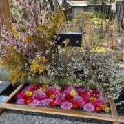 ヒメ日記 2025/04/19 08:45 投稿 しえる 湯房 湯島御殿