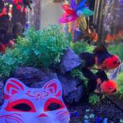 ヒメ日記 2025/08/09 08:18 投稿 しえる 湯房 湯島御殿