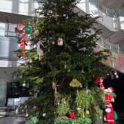 ヒメ日記 2025/12/09 00:16 投稿 しえる 湯房 湯島御殿