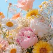 ヒメ日記 2025/12/14 07:48 投稿 しえる 湯房 湯島御殿