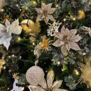 ヒメ日記 2026/01/12 08:54 投稿 しえる 湯房 湯島御殿