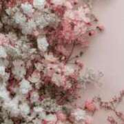 ヒメ日記 2026/01/19 07:55 投稿 しえる 湯房 湯島御殿