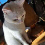 ヒメ日記 2026/04/04 21:57 投稿 しえる 湯房 湯島御殿