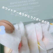 ヒメ日記 2025/03/16 22:21 投稿 紗織 Lip Trip