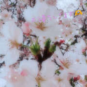 ヒメ日記 2025/04/09 19:11 投稿 紗織 Lip Trip