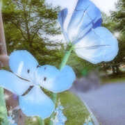 ヒメ日記 2025/04/30 19:28 投稿 紗織 Lip Trip