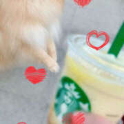 ヒメ日記 2025/09/17 19:20 投稿 紗織 Lip Trip