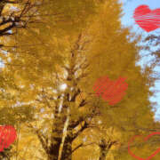 ヒメ日記 2025/11/30 19:55 投稿 紗織 Lip Trip