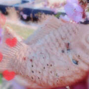 紗織 ♡本日出勤&先日のお礼♡ Lip Trip