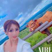 ヒメ日記 2025/06/26 11:15 投稿 あいり 脱がされたい人妻 春日部店