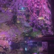 ヒメ日記 2025/04/06 00:00 投稿 あいり 脱がされたい人妻 越谷店