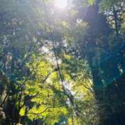 ヒメ日記 2025/05/01 05:00 投稿 りょう スッキリ！！日本橋店