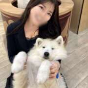 ヒメ日記 2026/04/03 02:00 投稿 りょう スッキリ！！日本橋店