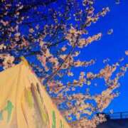 ヒメ日記 2026/04/05 02:30 投稿 りょう スッキリ！！日本橋店