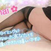 ヒメ日記 2025/06/28 14:02 投稿 まい 鹿児島ちゃんこ 天文館店