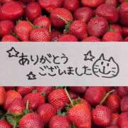ヒメ日記 2025/08/17 17:21 投稿 まなか 素人妻御奉仕倶楽部Hip's取手店