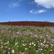 ヒメ日記 2025/11/03 10:01 投稿 まなか 素人妻御奉仕倶楽部Hip's取手店