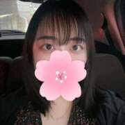 ヒメ日記 2025/05/29 18:35 投稿 なぎ ぷよラブ れぼりゅ～しょん