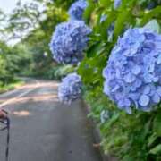 ヒメ日記 2025/07/15 07:02 投稿 さあや☆ 粋美　suibi