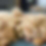 ヒメ日記 2025/09/01 09:57 投稿 さあや☆ 粋美　suibi