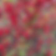 ヒメ日記 2026/03/25 15:50 投稿 さあや☆ 粋美　suibi