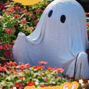 ヒメ日記 2025/09/28 10:30 投稿 ゆずき 藤沢人妻城