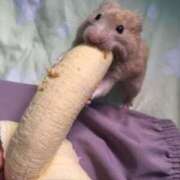 ヒメ日記 2025/02/04 15:19 投稿 愛海(あみ) キュート東京 新宿店