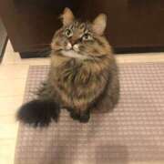 ヒメ日記 2026/04/12 20:02 投稿 愛海(あみ) キュート東京 新宿店